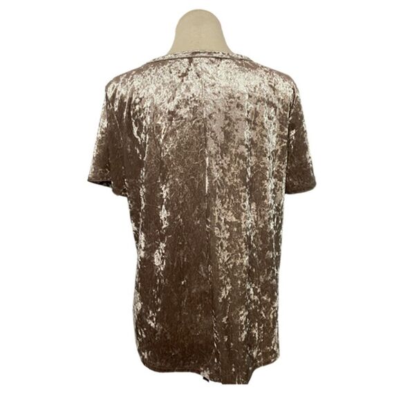 C Velvet Blouse with Floral Embroidery - Brown and Red - Picture 3 of 7